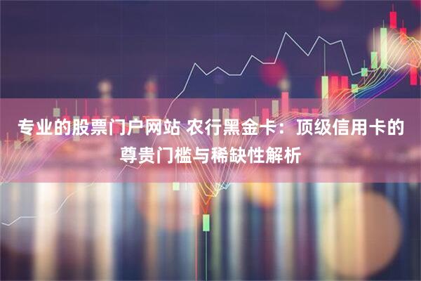 专业的股票门户网站 农行黑金卡：顶级信用卡的尊贵门槛与稀缺性解析