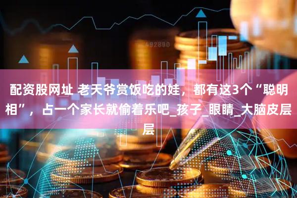 配资股网址 老天爷赏饭吃的娃，都有这3个“聪明相”，占一个家长就偷着乐吧_孩子_眼睛_大脑皮层
