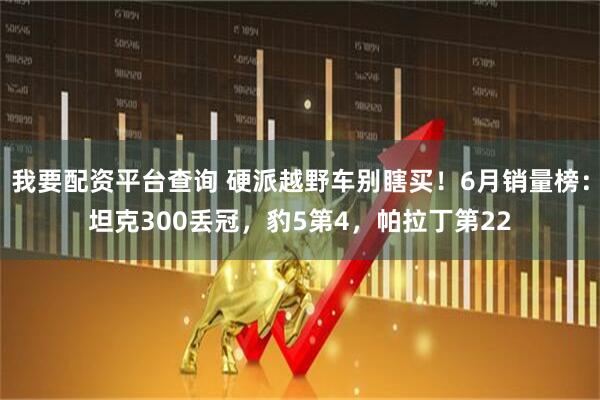 我要配资平台查询 硬派越野车别瞎买！6月销量榜：坦克300丢冠，豹5第4，帕拉丁第22